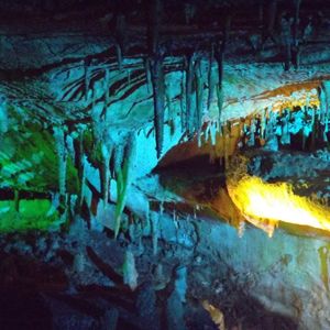 0156_241024_1_syounyuudou.JPG?