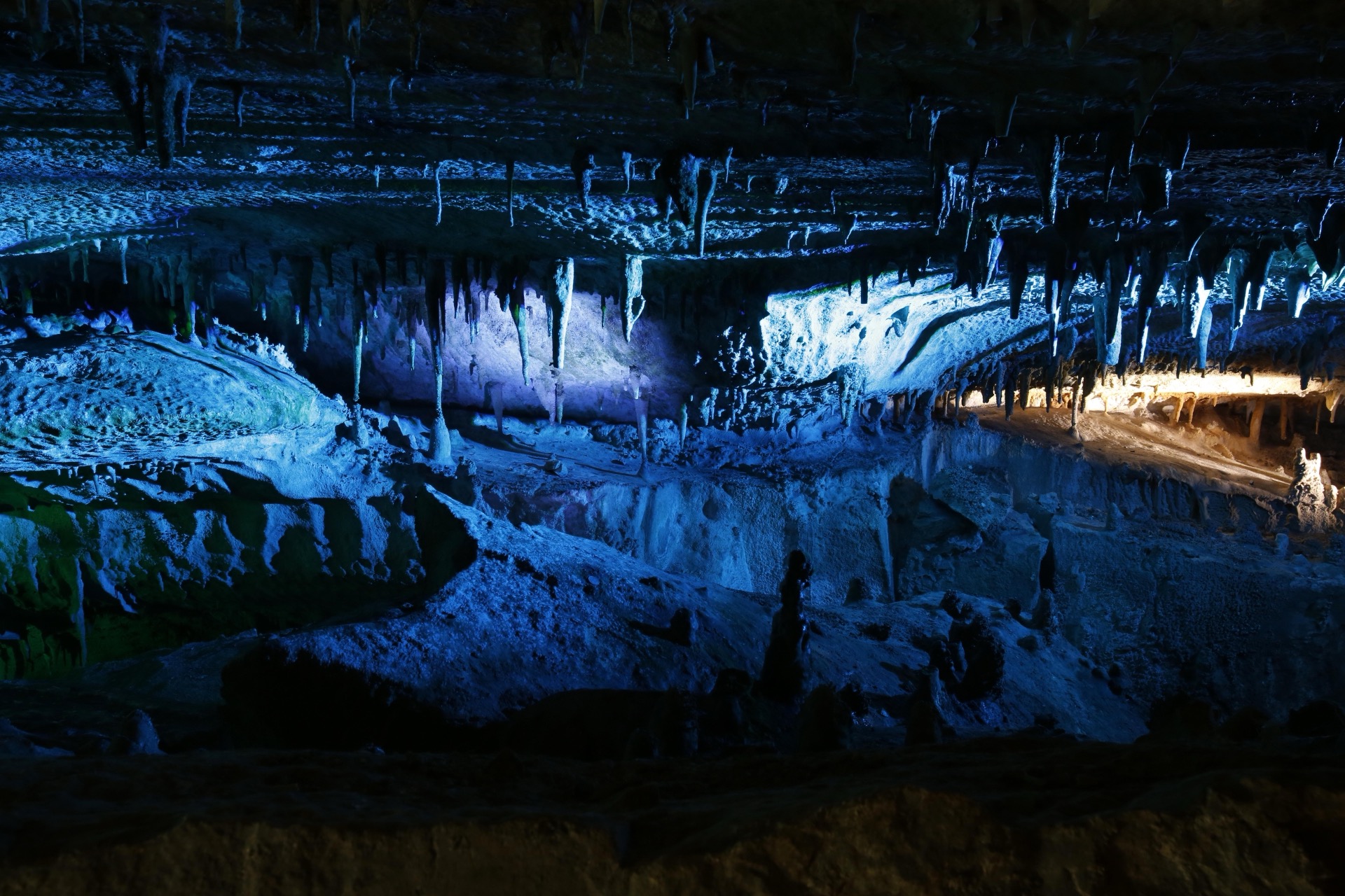 面不動鍾乳洞 | ならいこ