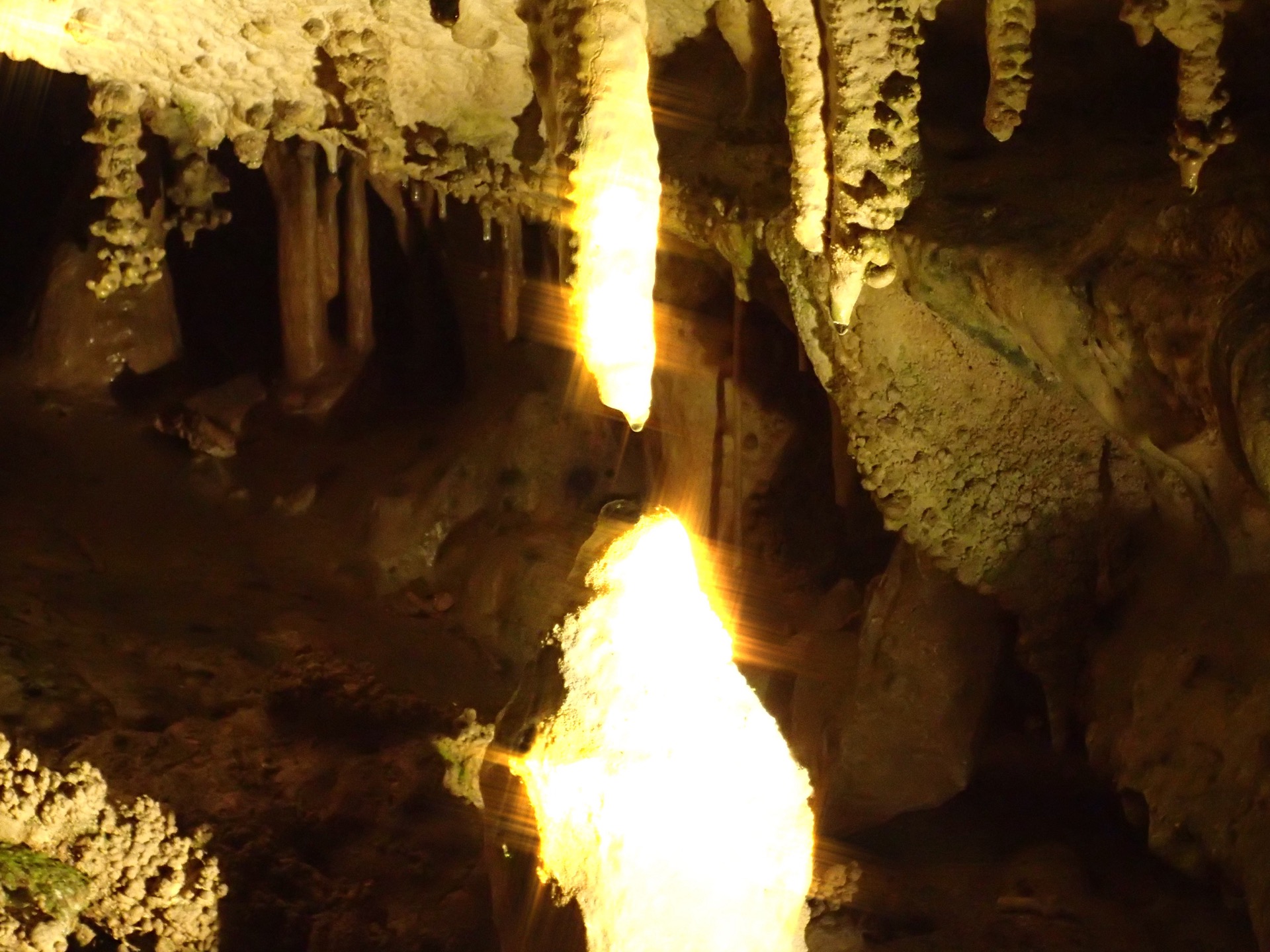 面不動鍾乳洞 | ならいこ