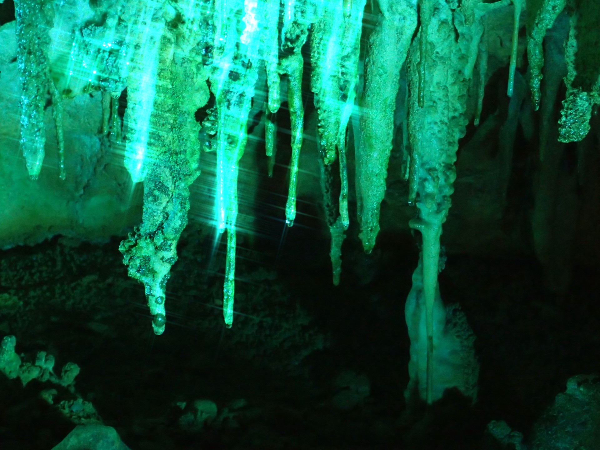 面不動鍾乳洞 | ならいこ