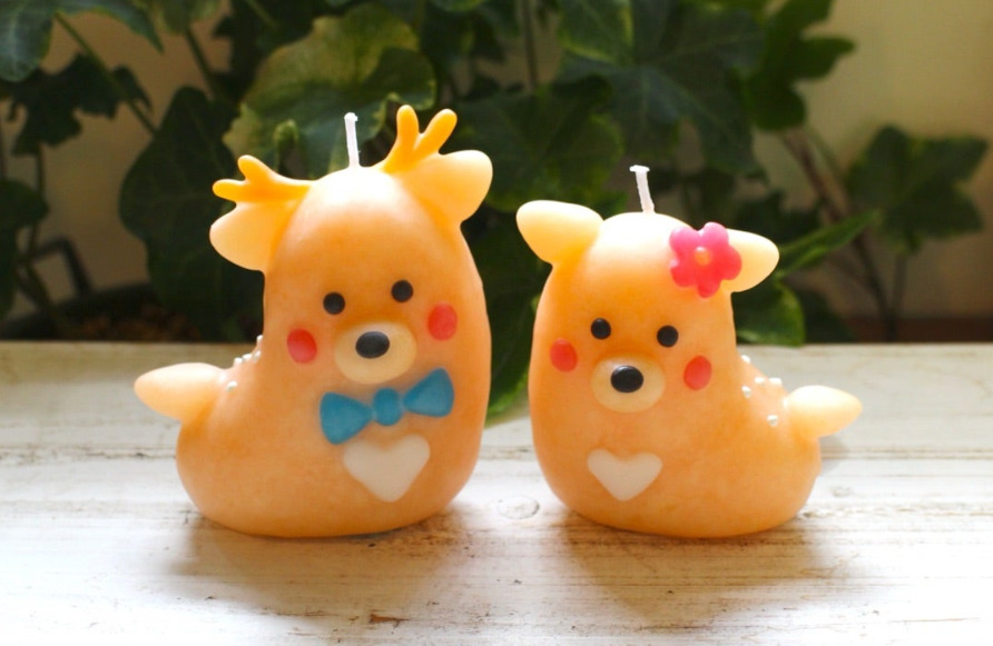 canata conata | ならいこ