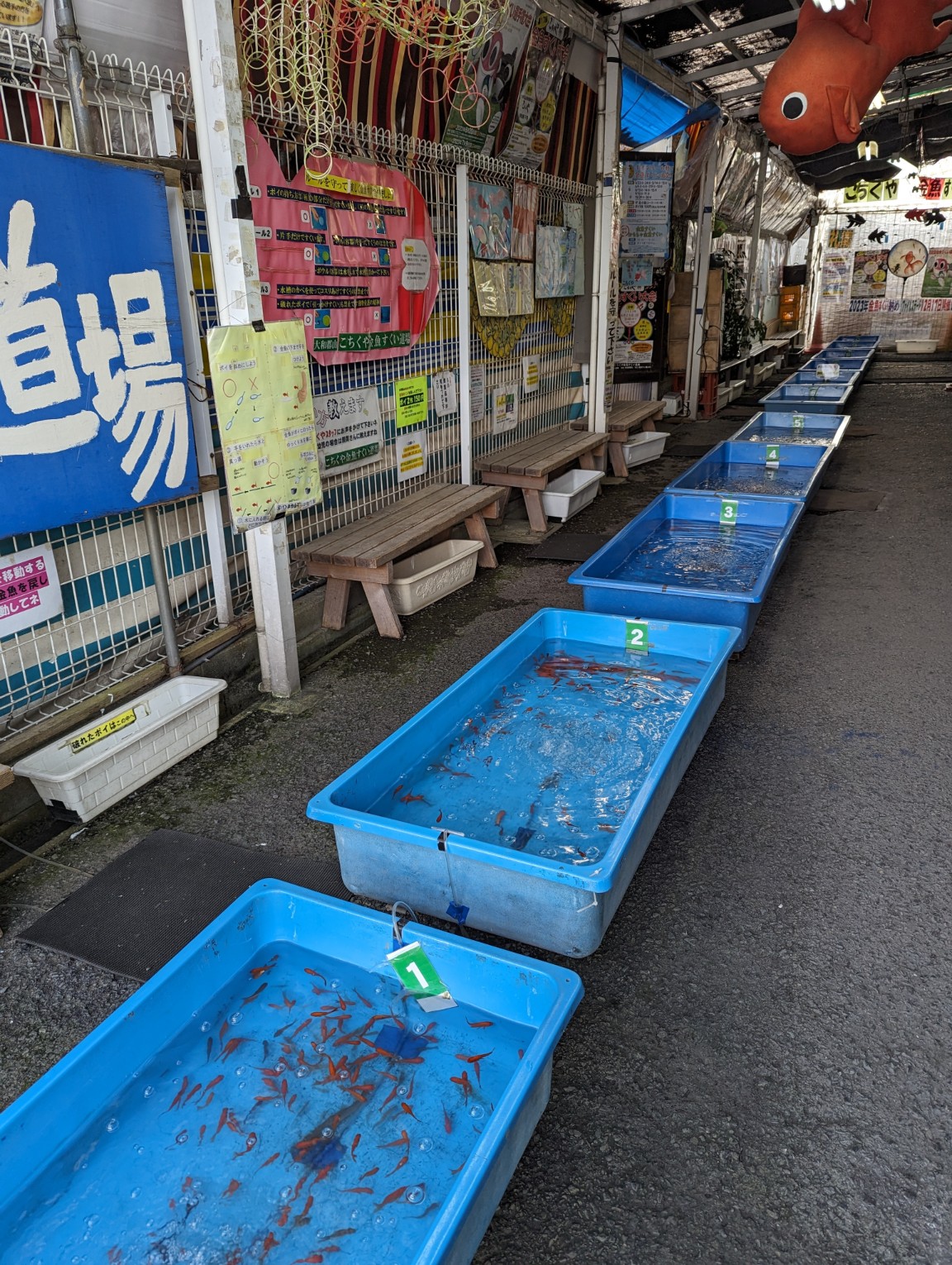 おみやげ 処 こち く や