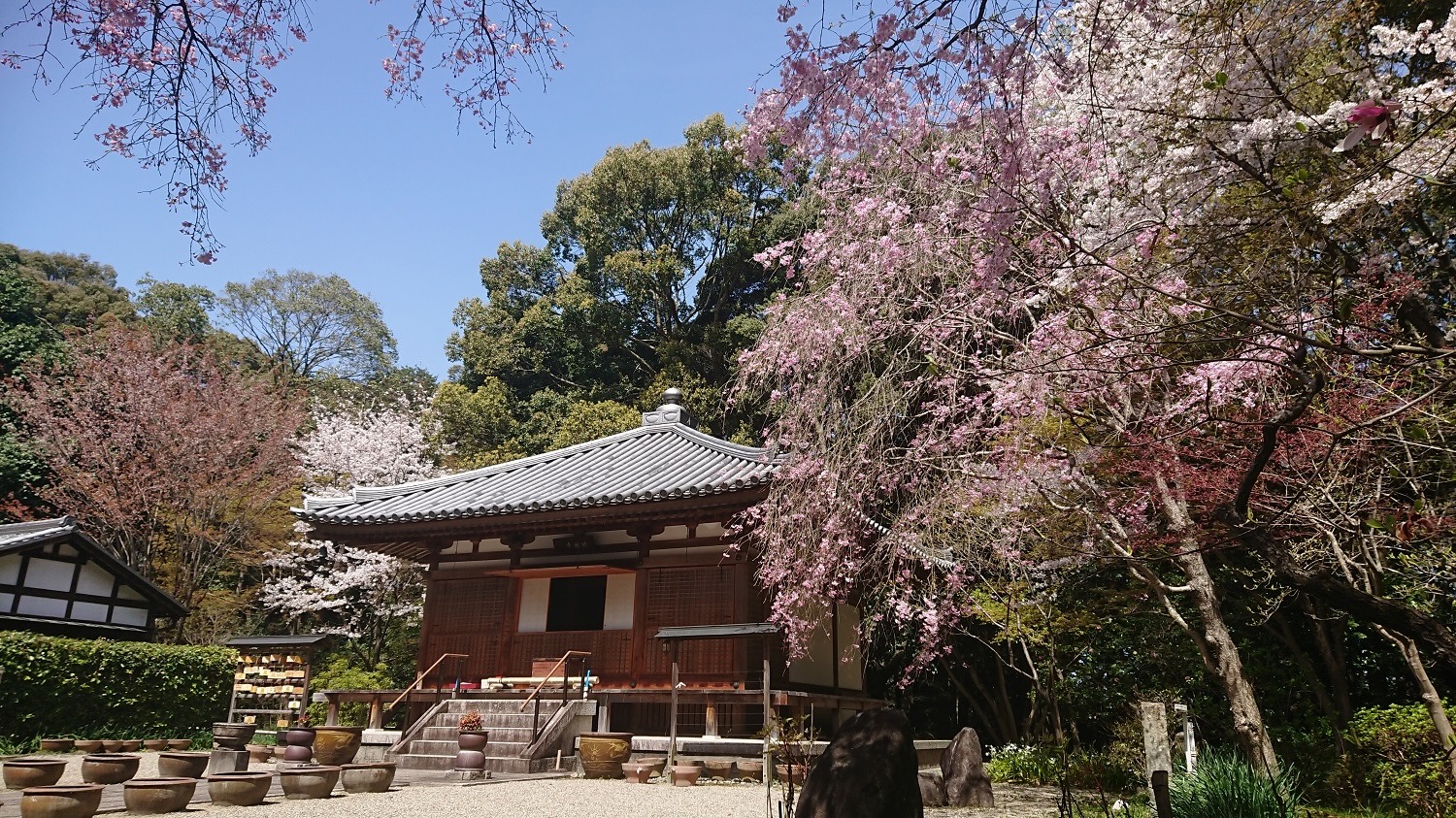 竹林寺 | ならいこ