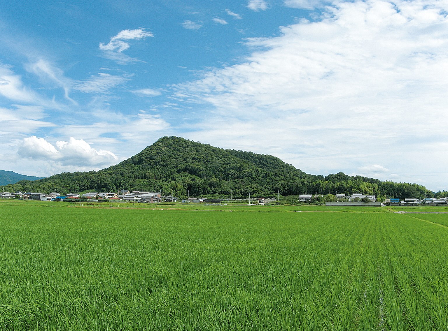 畝傍山 | ならいこ